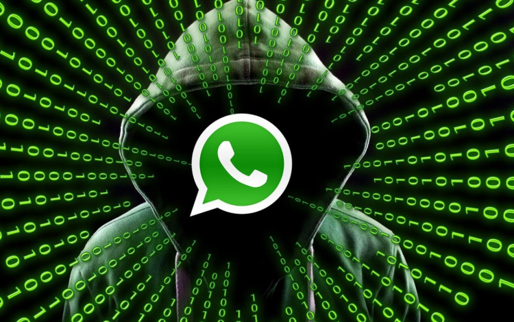 ¿WhatsApp te pirateó? Para que pueda restaurar su paso a paso
– Primer plano