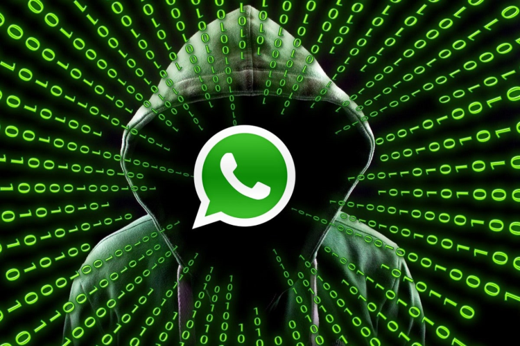 ¿WhatsApp te pirateó? Para que pueda restaurar su paso a paso

 – Primer plano