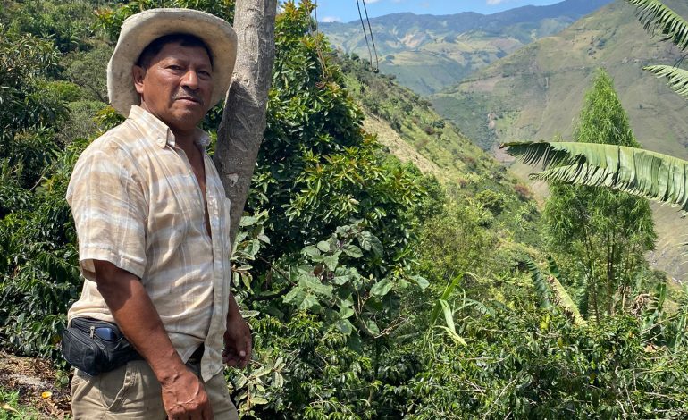 Nariño, cariño, uno de los mejores cafés
– Primer plano