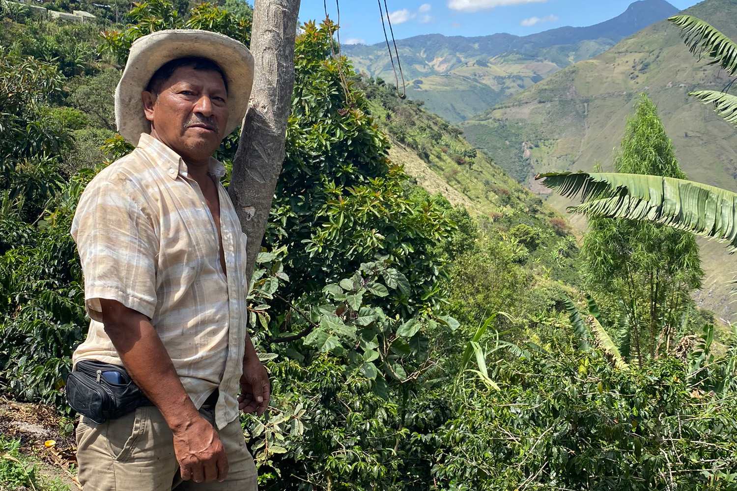 Nariño, cariño, uno de los mejores cafés

 – Primer plano