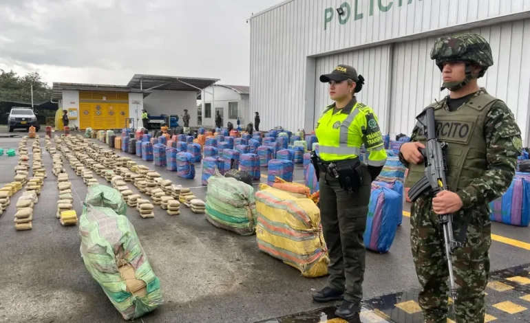 Traktocamion cayó en Tuluá y tenía cuatro toneladas de marihuana escondida en paquetes de papa
– Primer plano