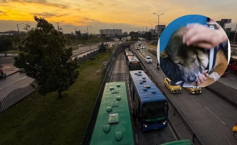 Transmilicne condena a la calle dejando el autobús SITP y su posterior abandono
– Primer plano