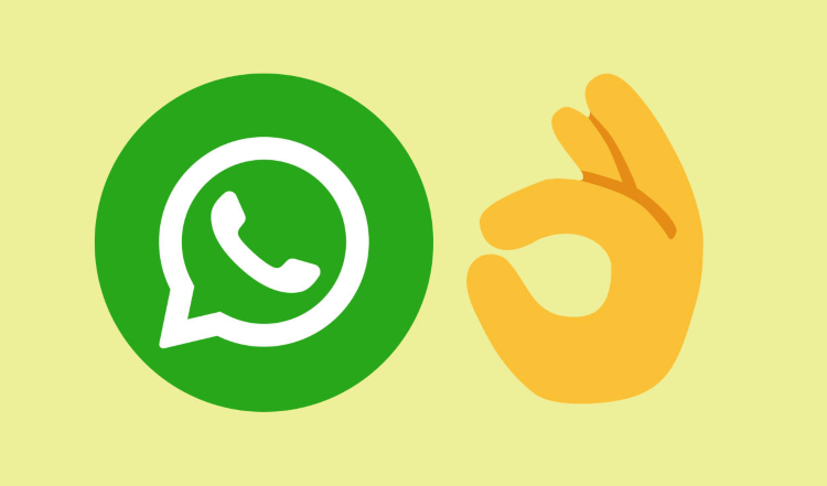 WhatsApp publicado en las llamadas «Reved Up Hand»

 – Primer plano