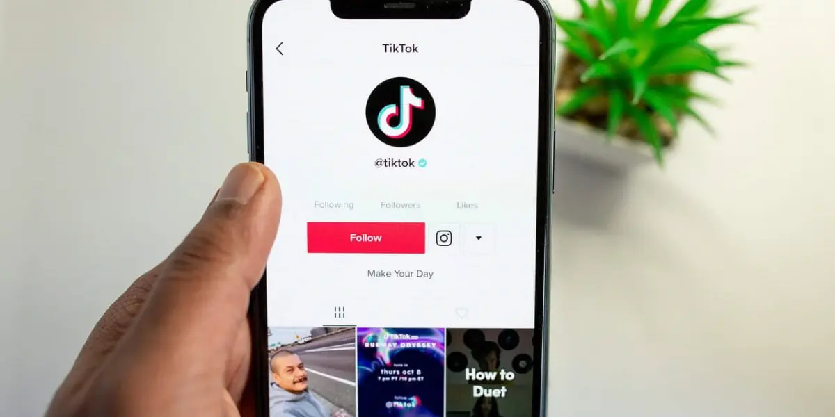 Tiiktok publica el modo REST

 – Primer plano