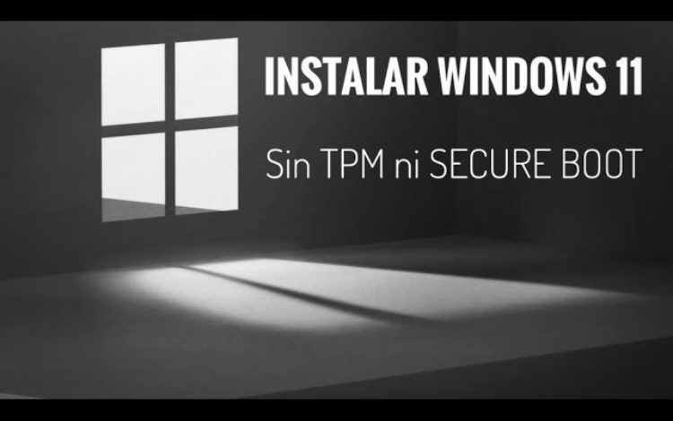 Cómo instalar Windows 11 sin TPM o de forma segura con Flyby11
– Primer plano