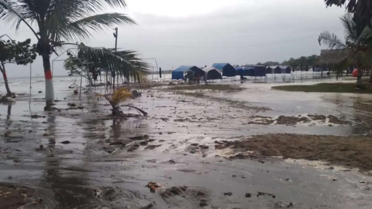 DiMar advierte el riesgo de navegadores y áreas isleñas en los próximos días

 – Primer plano