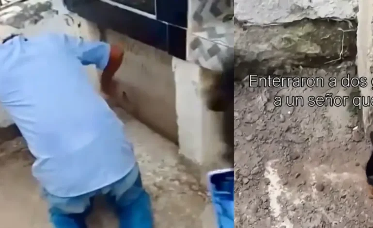 La indignación de los gatos que fueron enterrados vivos con su dueño en Sucre: fue un rescate

 – Primer plano