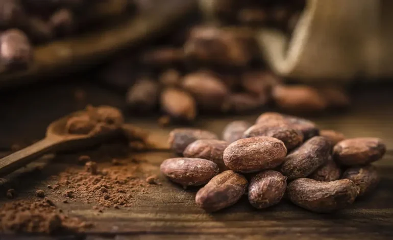 El Gremio de Cocoa en Colombia solicita el diálogo con el gobierno nacional, no se escucha, se detendrán la próxima semana: esta solicitud

 – Primer plano