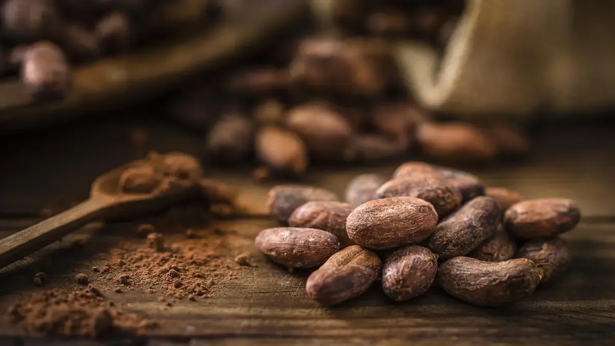 El Gremio de Cocoa en Colombia solicita el diálogo con el gobierno nacional, no se escucha, se detendrán la próxima semana: esta solicitud

 – Primer plano