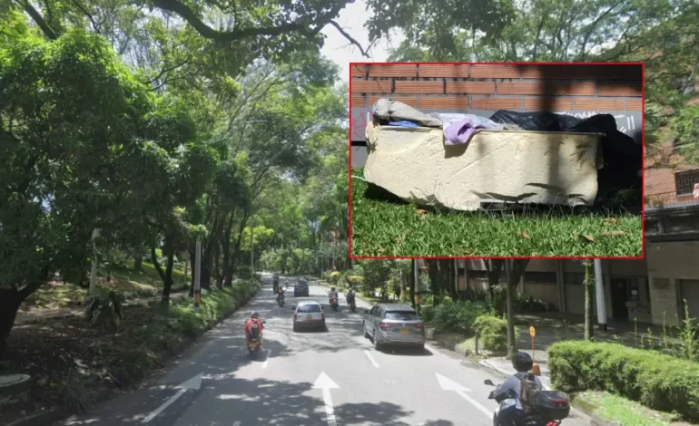 Encontraron un cuerpo en un refrigerador abandonado en el distrito de Carlos E. RESTREPO DE MEDELLÍN
– Primer plano