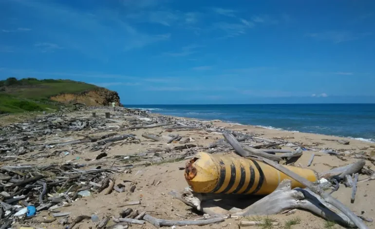 Odkrywają, że drewno dryfowe może być kluczem do pomiaru zanieczyszczenia plastikowego na plażach Karaibów
 – Primer plano