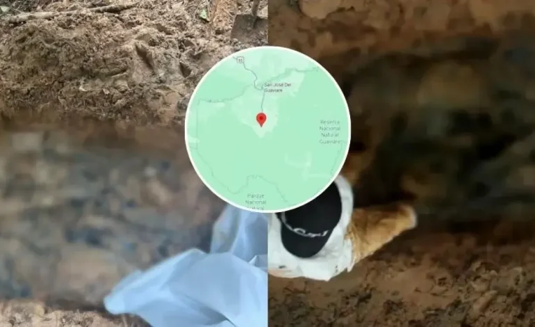 Identidad de ocho campesinos asesinados y obligados a cavar una tumba

 – Primer plano