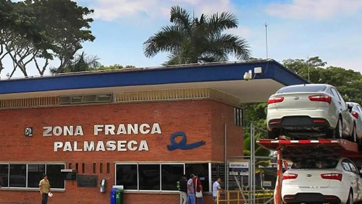Zona Free Palmaseca: Gremio

 – Primer plano