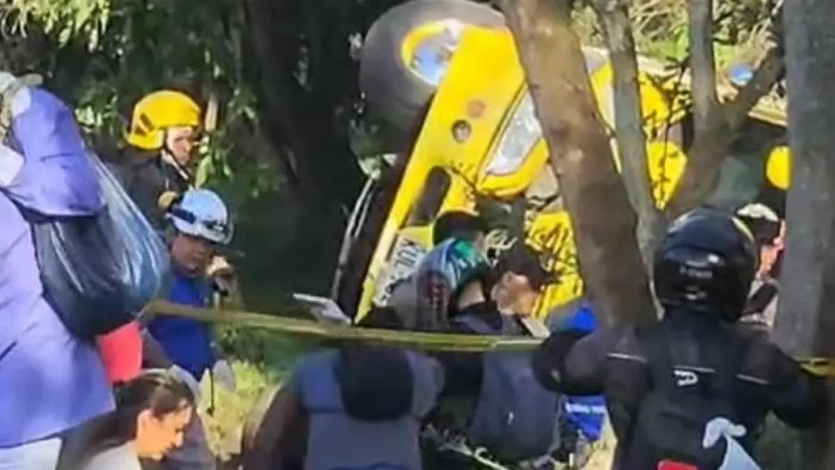 El autobús se cayó y la persona murió; Hay varios heridos

 – Primer plano