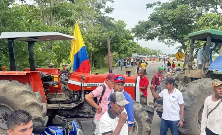 ¿Cuáles son los requisitos que manifiestan?

 – Primer plano