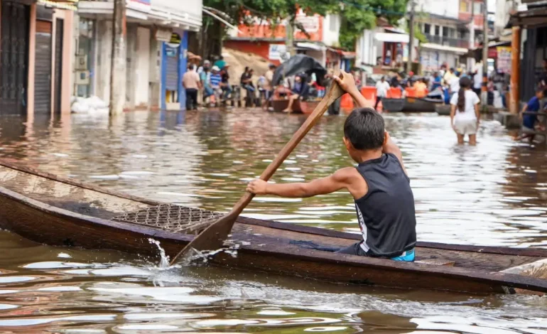Winter Wave Balance, que tiene varias de 32 ramas

 – Primer plano