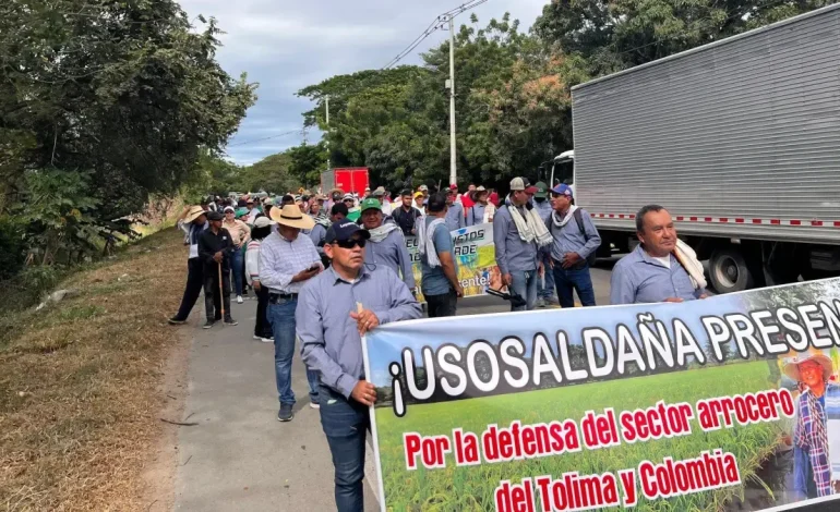 Huelga de arroz en Colombia hoy 17 de julio

 – Primer plano
