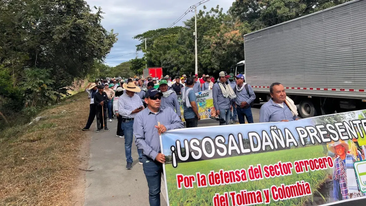 Huelga de arroz en Colombia hoy 17 de julio

 – Primer plano