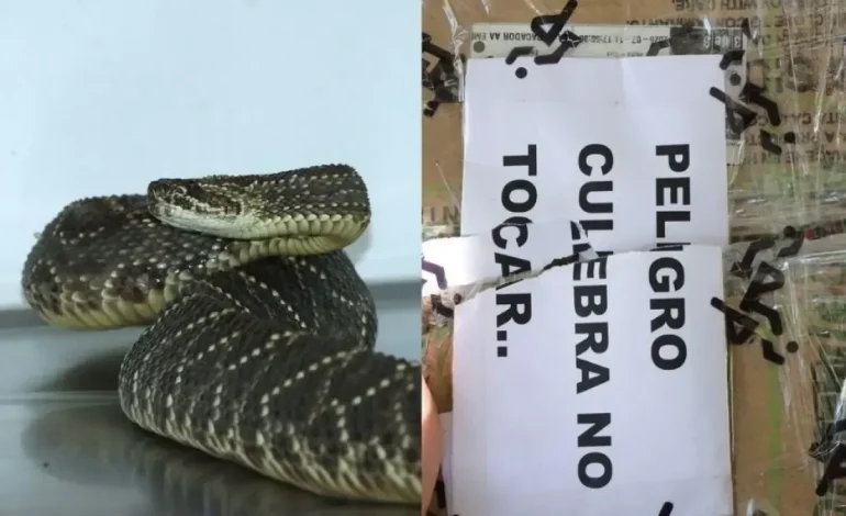 Colocaron una señal de advertencia para la caja

 – Primer plano