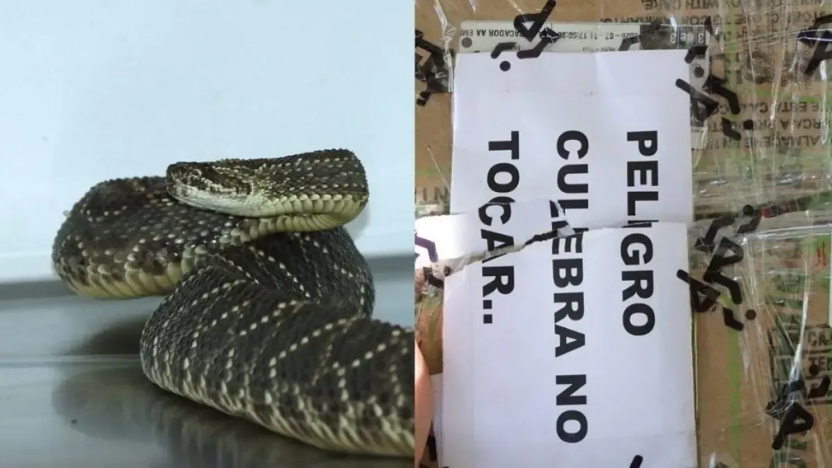 Colocaron una señal de advertencia para la caja

 – Primer plano