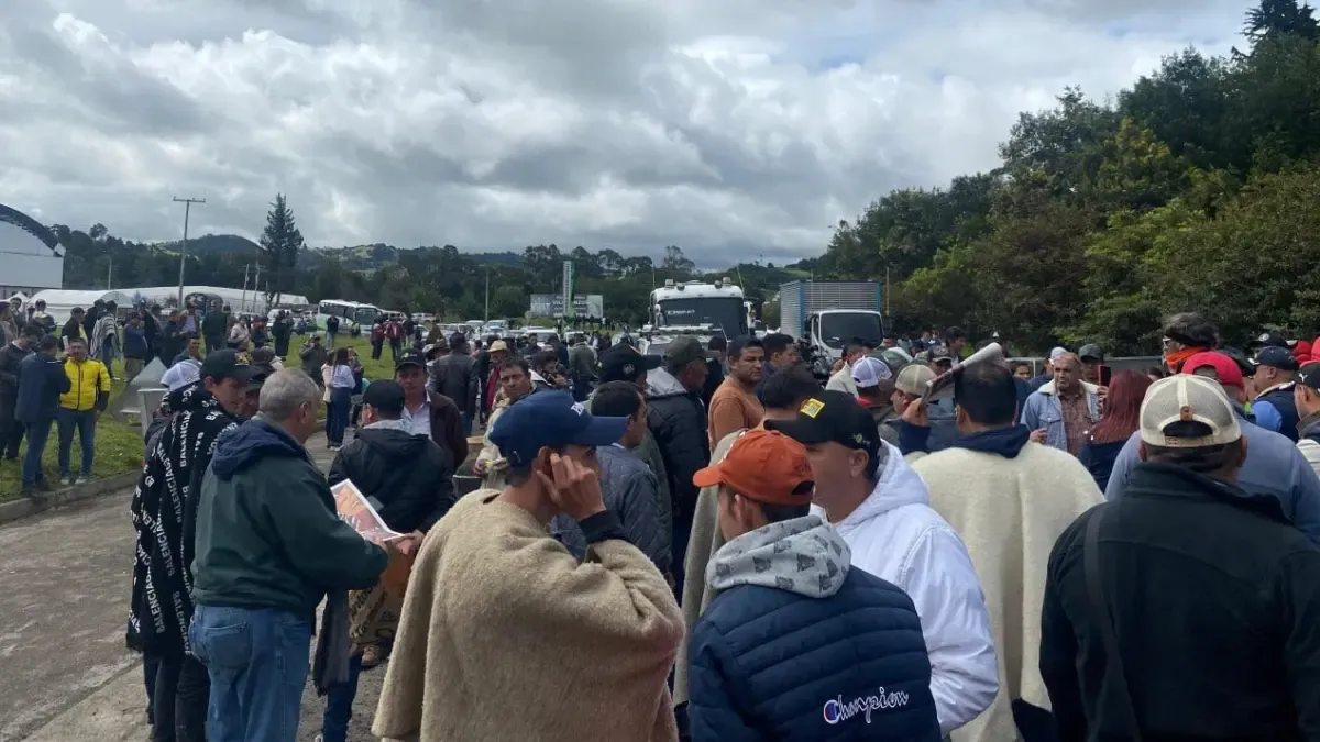 Papcultores de Cundinamarca, Boyacá, Antioquia y más departamentos de la Asamblea Tomar Villaapinzón Road

 – Primer plano