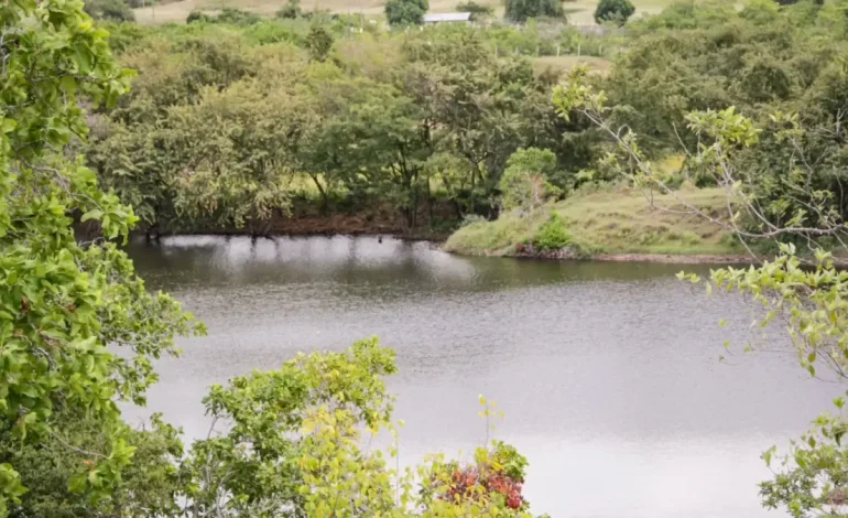En una crisis por precios bajos de arroz, los criadores de tolima solicitan corrección en la fórmula que establece la recolección de la tasa de agua (TuA)

 – Primer plano