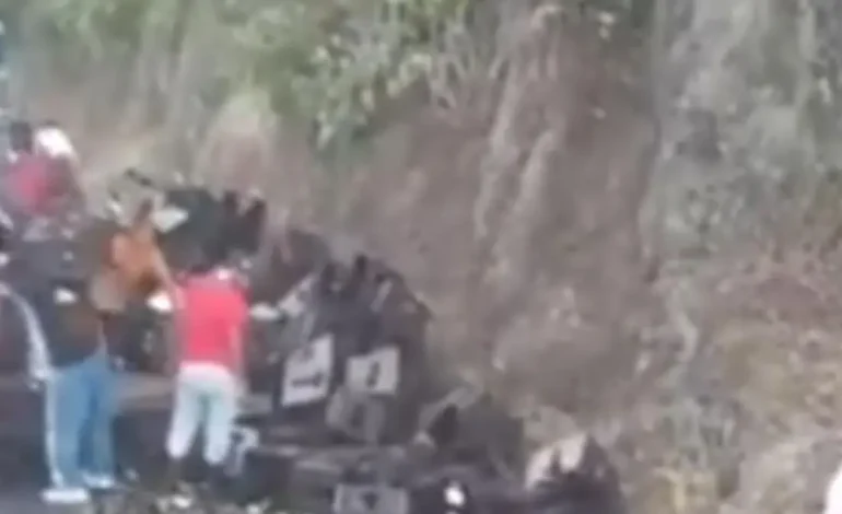 Beer Truck después de un accidente grave en la parte superior de la línea: las pinturas generaron rechazo en las redes sociales
– Primer plano