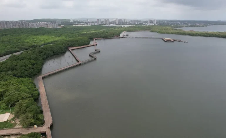 Barranquilla se une al Día Internacional de Defensa de Manglares con sembrar 200 plántulas rojas

 – Primer plano