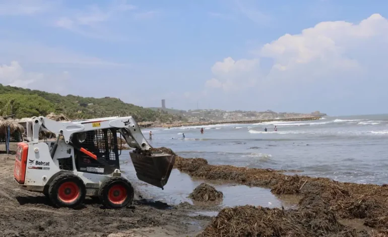 Puerto Colombia recolecta más de 30 toneladas de Tarull en Salgar para proteger sus playas y garantizar el turismo sostenible
– Primer plano