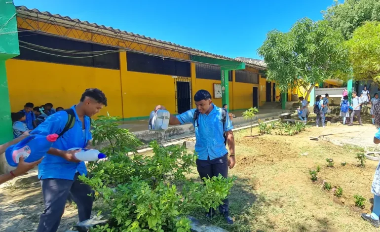 En Bolívar, el maestro transforma las áreas verdes olvidadas en una clase externa que combina geometría, ecología, arte y tecnología con una visión
– Primer plano