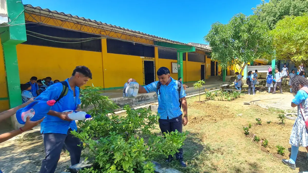 En Bolívar, el maestro transforma las áreas verdes olvidadas en una clase externa que combina geometría, ecología, arte y tecnología con una visión

 – Primer plano
