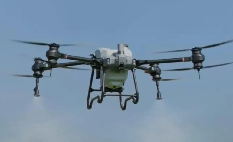 845 campesinos en 28 rural corregimientos se beneficiarán

 – Primer plano