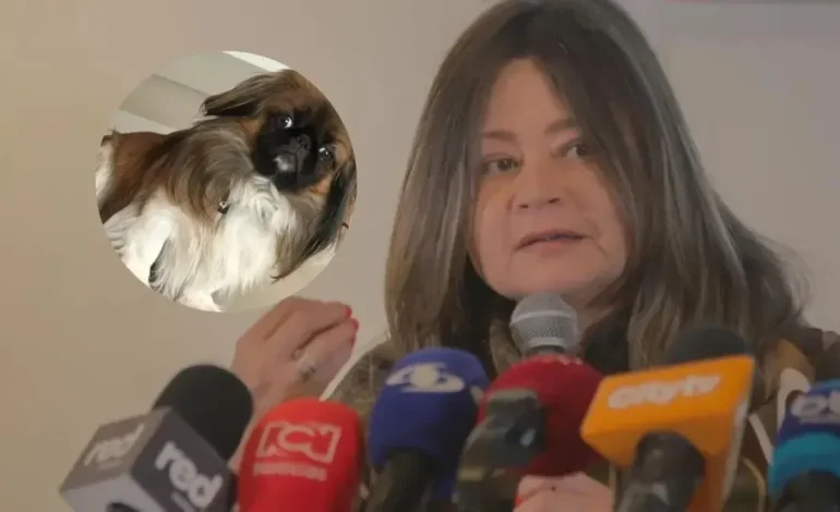 Aplicación del Ministerio de Transporte por Maxi, un cachorro que murió en la cajuela del autobús de la persona: «preciso y ágil»

 – Primer plano