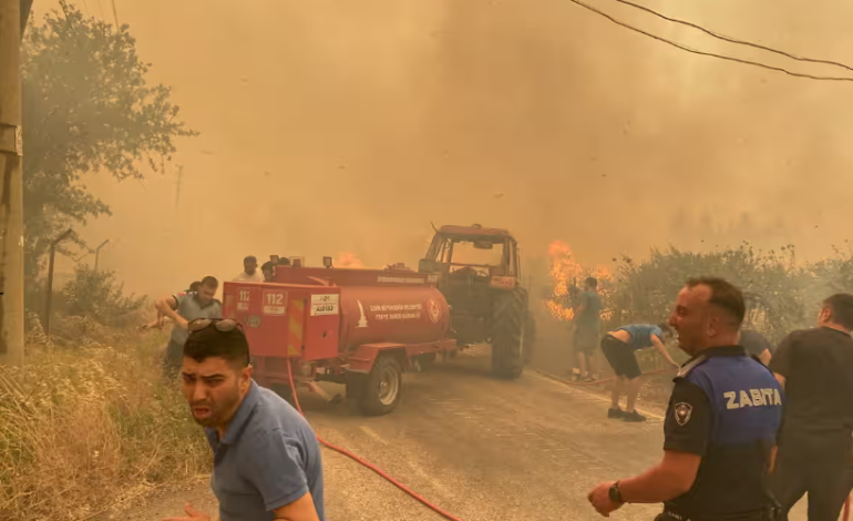 Onda de calor severa en Europa: elementos de temperatura y advertencia
– Primer plano