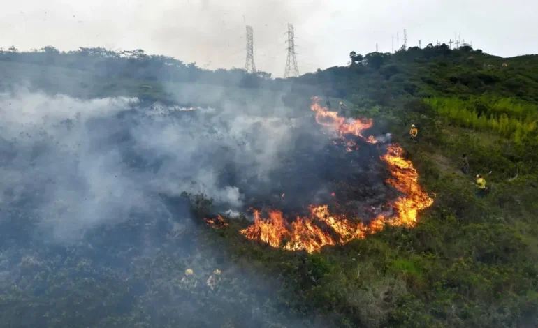 Cerro de Las Tres Cruces de Cali: Los bomberos están luchando contra el fuego en la falta de falta; La oficina del alcalde redujo el riesgo de riesgo

 – Primer plano