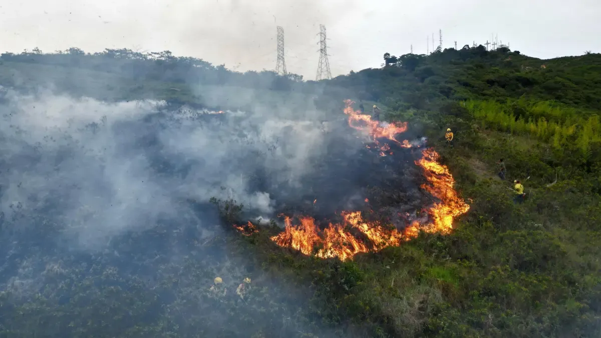 Cerro de Las Tres Cruces de Cali: Los bomberos están luchando contra el fuego en la falta de falta; La oficina del alcalde redujo el riesgo de riesgo

 – Primer plano