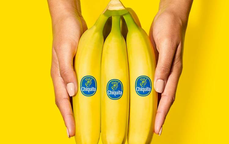 Para el financiamiento de los paramilitares, el ex jefe de las marcas de Chiquita debe pagar 11 años en prisión y una compensación de $ 13,000 millones a las víctimas

 – Primer plano