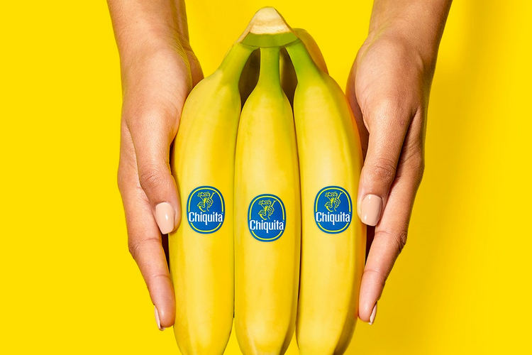 Para el financiamiento de los paramilitares, el ex jefe de las marcas de Chiquita debe pagar 11 años en prisión y una compensación de $ 13,000 millones a las víctimas

 – Primer plano