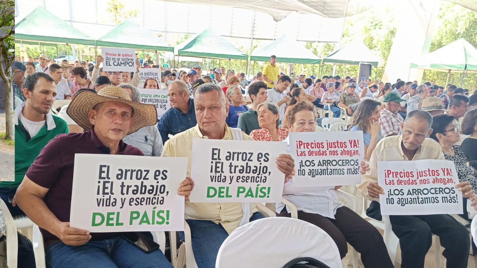 Confirme la tabla de diálogo para superar el desempleo de Rice.

 – Primer plano