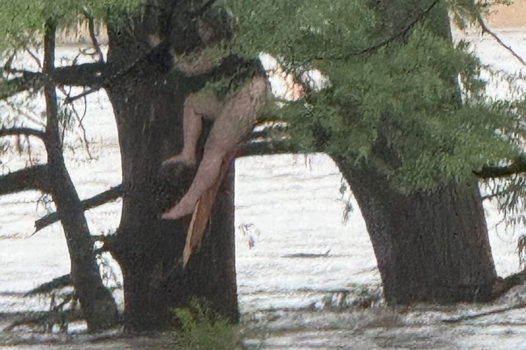 Tragedia en Texas: el río del río Guadalupe deja 24 muertas y 20 niñas desaparecidas en el campamento místico

 – Primer plano