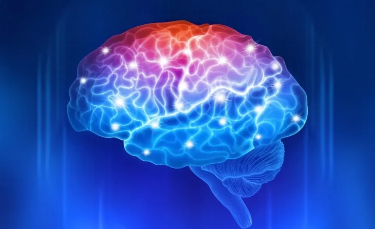 Día GLUT1 Mundial, un día para hacer visible una perturbación poco conocida

 – Primer plano