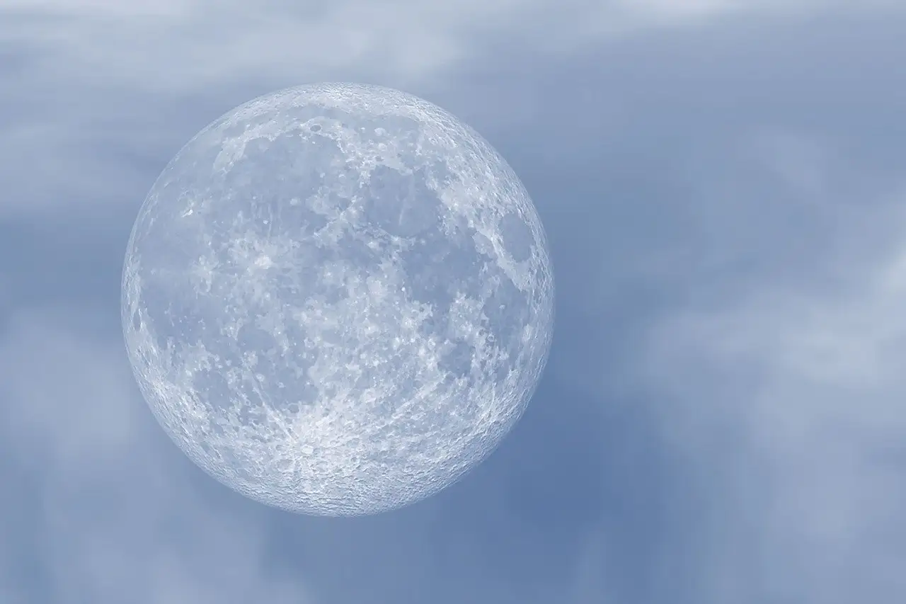 Día Lunar Internacional: la inspiración que nunca nos da

 – Primer plano