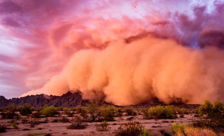 Día internacional para la lucha contra las tormentas de arena y polvo

 – Primer plano