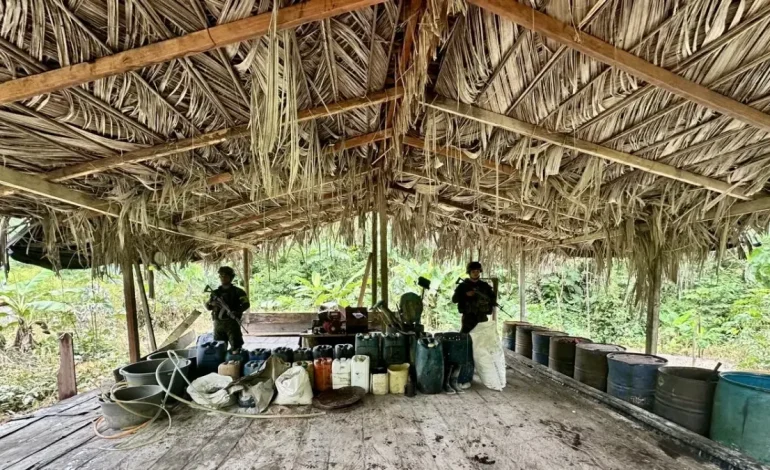 Drogas producidas por valor de 1265 millones de pesos; Operaciones de la Armada

 – Primer plano