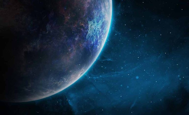 El nuevo súper animal que fascina la ciencia por su potencial para acomodar el agua
– Primer plano
