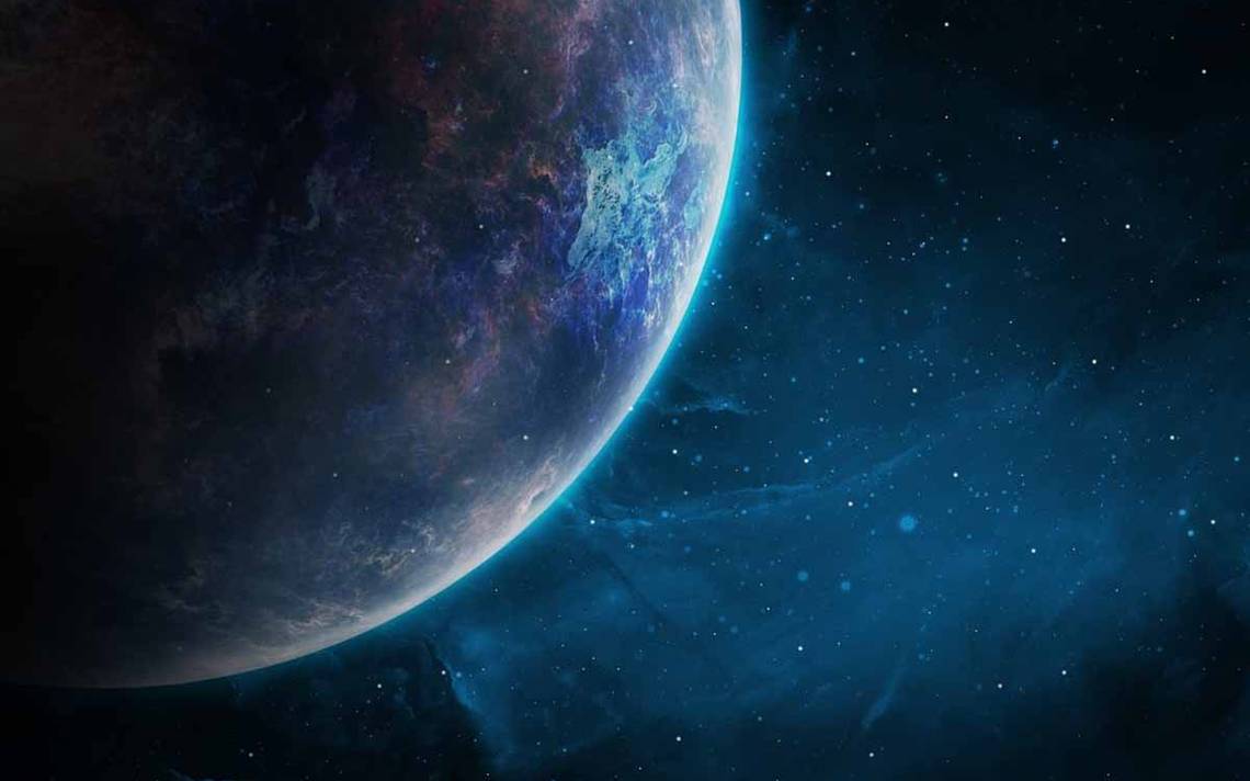 El nuevo súper animal que fascina la ciencia por su potencial para acomodar el agua

 – Primer plano