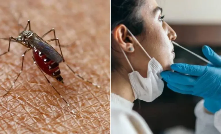 En seis meses, la tasa fue de 1520 casos por cada 100,000 habitantes en la ciudad

 – Primer plano