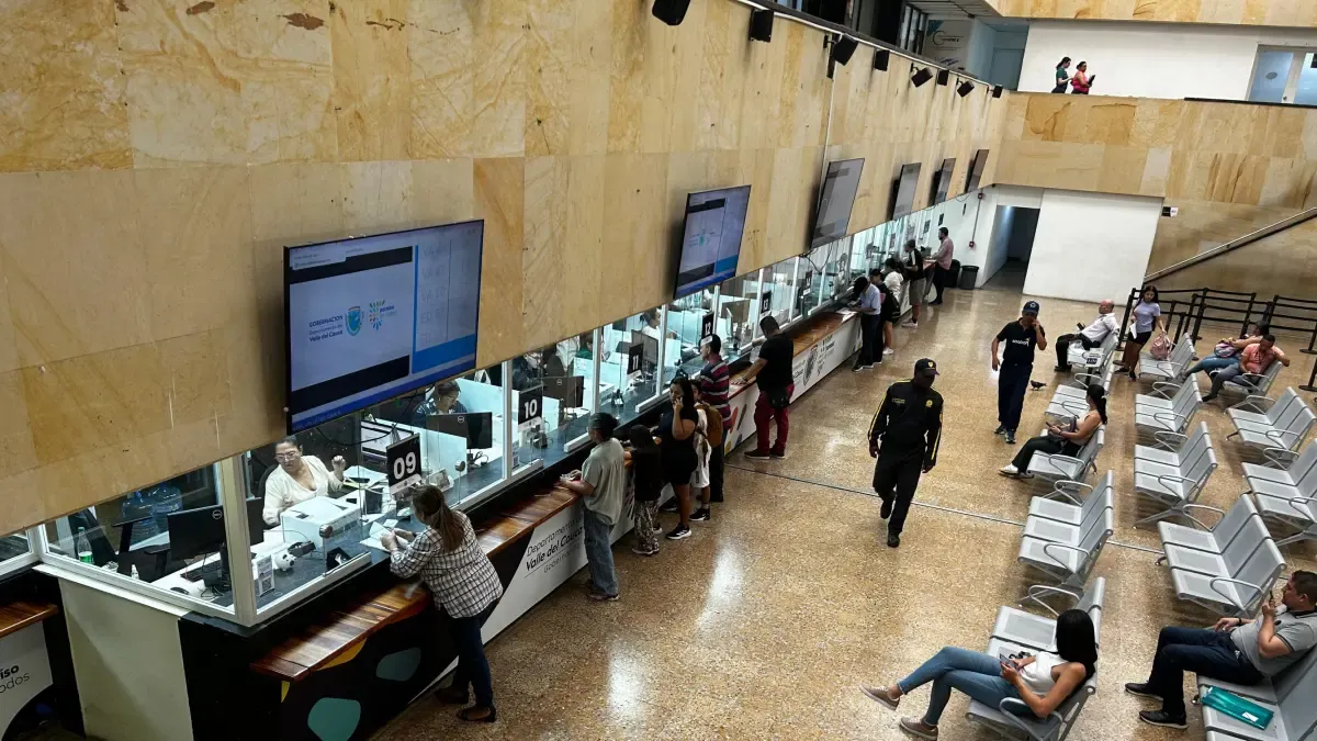 La colección aumentó en más del 9 por ciento en comparación con el año anterior

 – Primer plano
