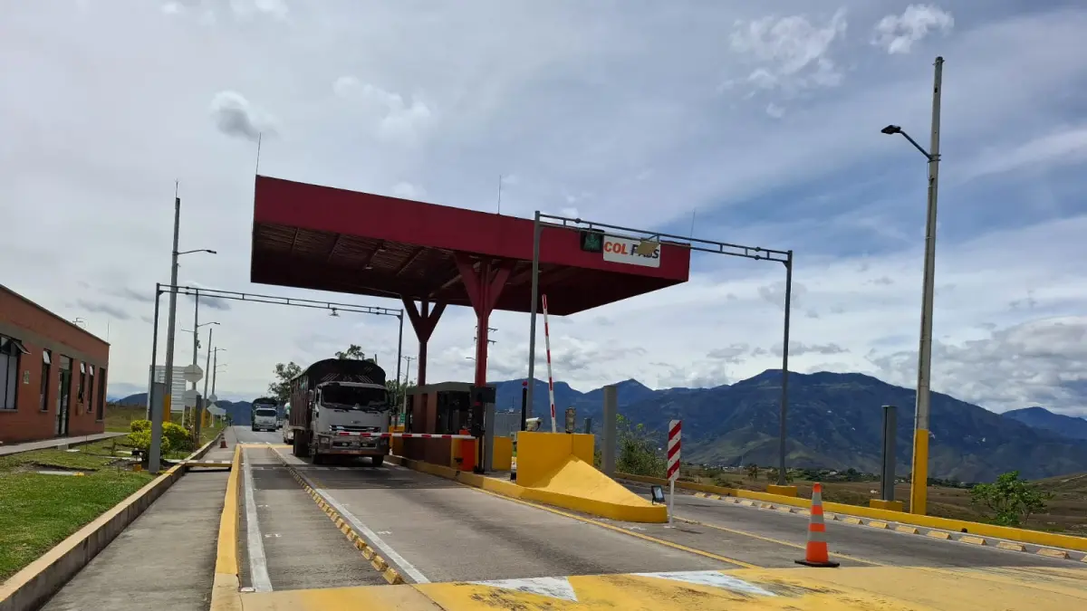«La tarifa de tarifa por el lado de la carretera, pero hay muchos agujeros»

 – Primer plano
