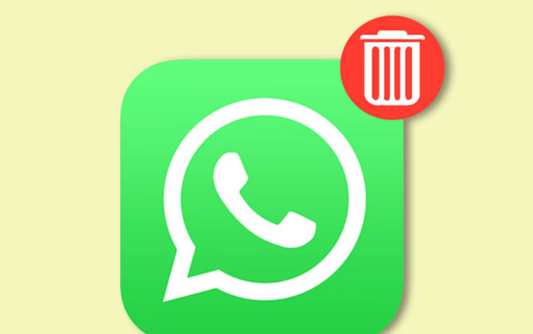 Cómo vaciar el papel en WhatsApp

 – Primer plano